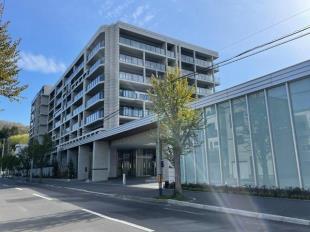 �V�e�B�e���X�{�P�u