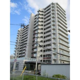 ���C�I���Y�t���N���A�V�e�B