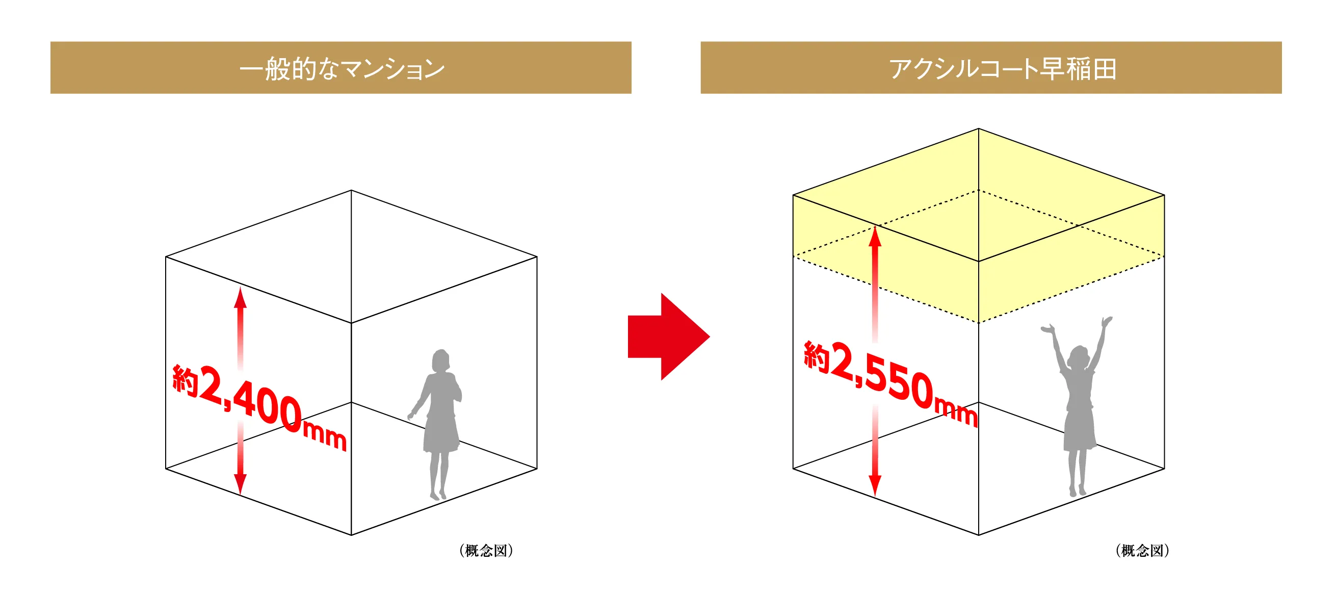一般的なマンションとアクシルコート早稲田