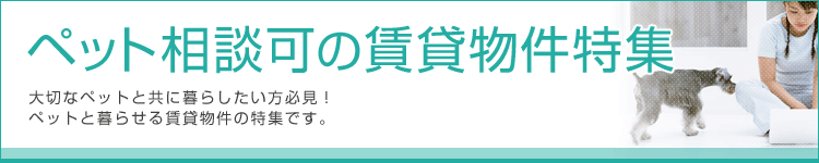 ybgk̒ݕW