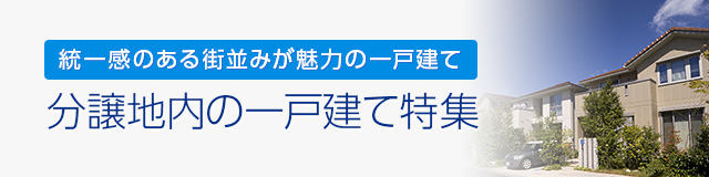 分譲地内