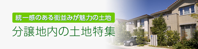 分譲地内