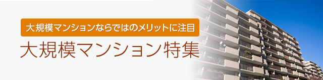 大規模