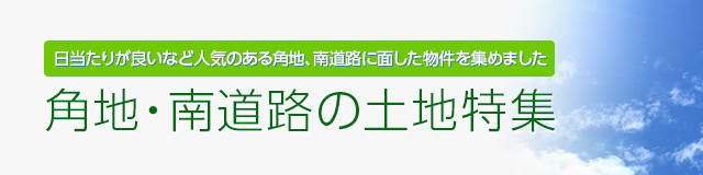角地・南道路