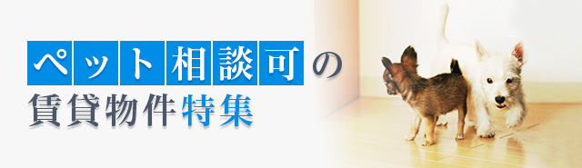 ペット相談可の賃貸物件特集