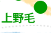 上野毛