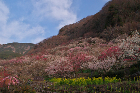 湯河原