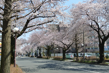 矢川