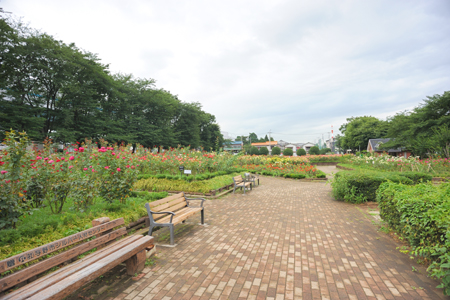 与野本町