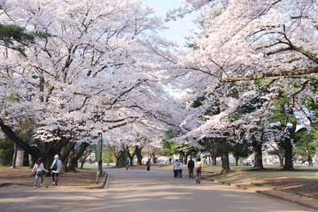 稲荷山公園