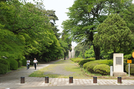 多磨霊園