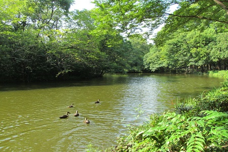 永福町