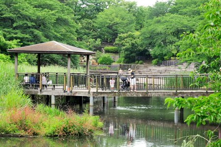 岸根公園