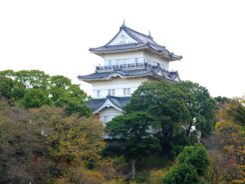 小田原周辺オススメスポット