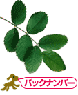 バックナンバー