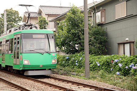 東急世田谷線