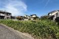 和泉市伯太町2丁目土地