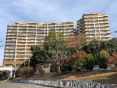 堺・泉北光明池城山公園シンシア