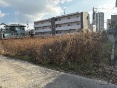 大府市東新町4丁目土地